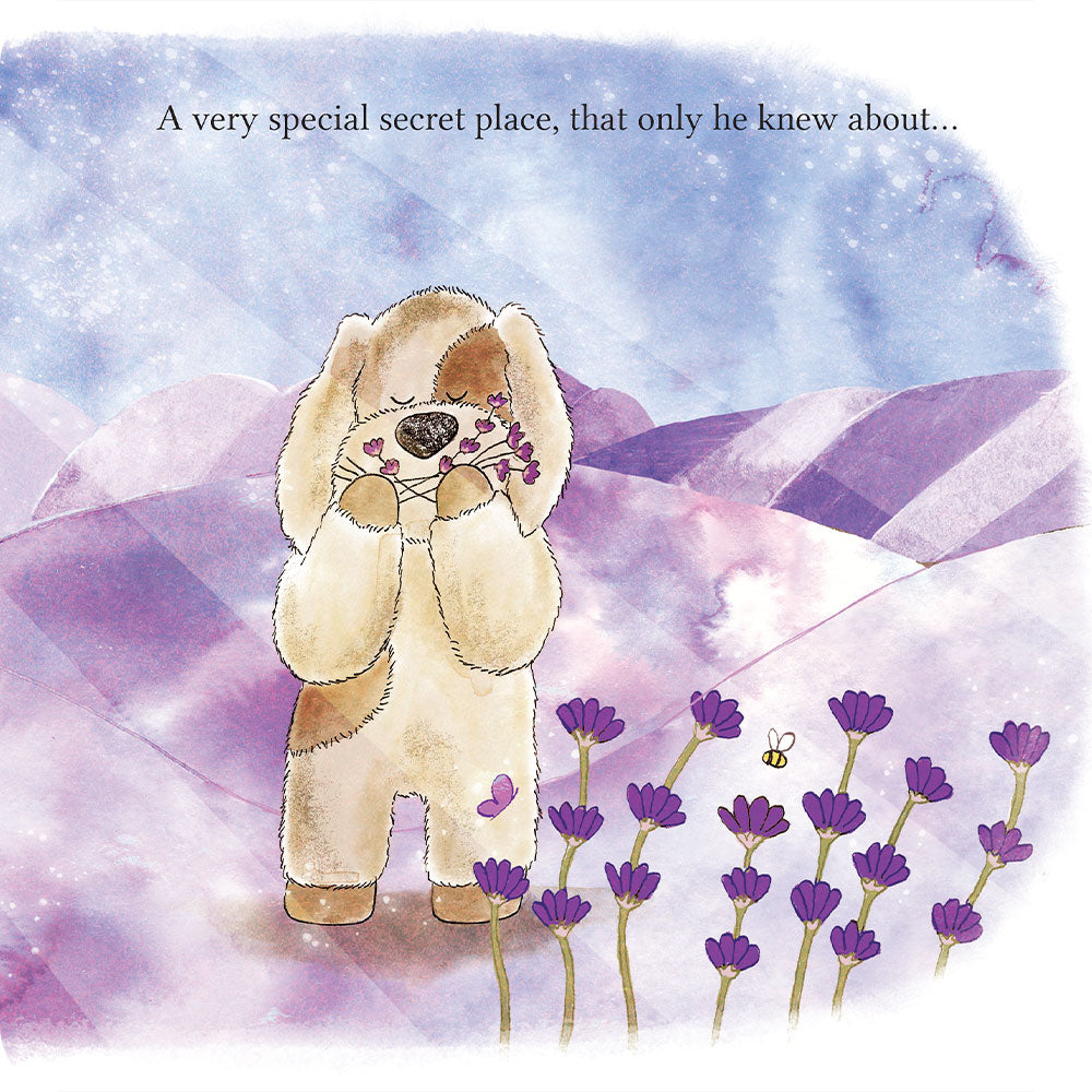 A Special Secret Place Board Book - Weekend Pair