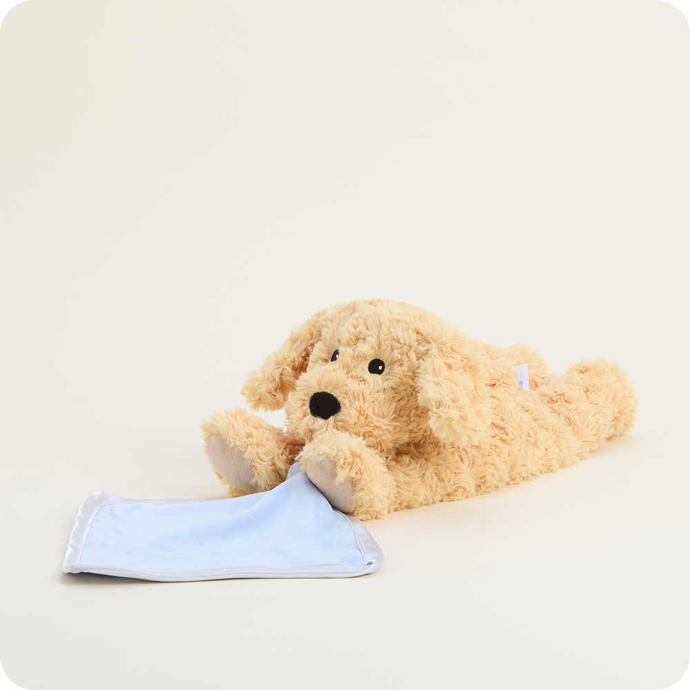 Golden Dog Blankie Warmies - Gentle Mist