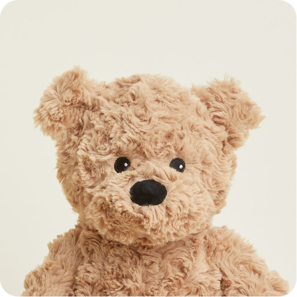 Brown Curly Bear Warmies - Classic Notes
