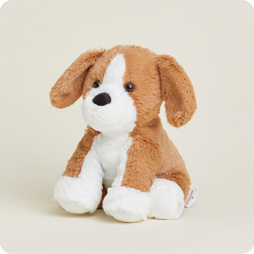Beagle Warmies - Fresh Notes