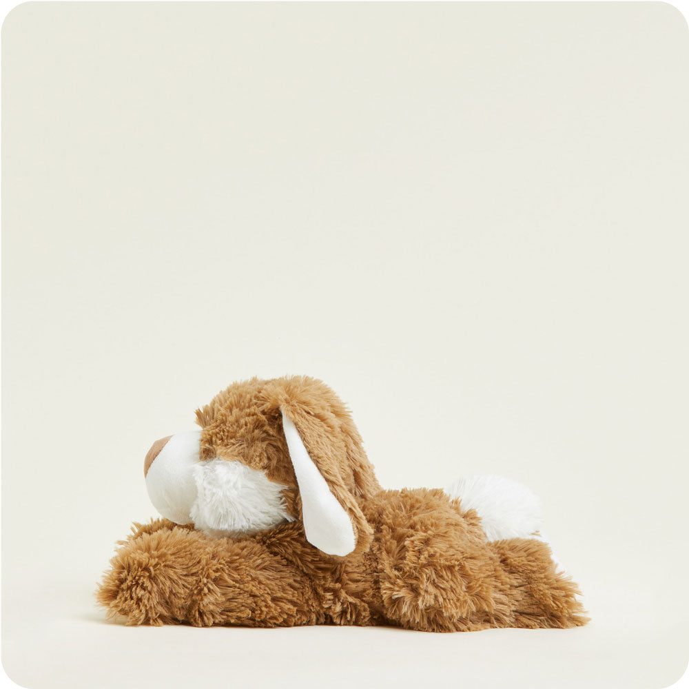 Brown Bunny Warmies - Daily Scent