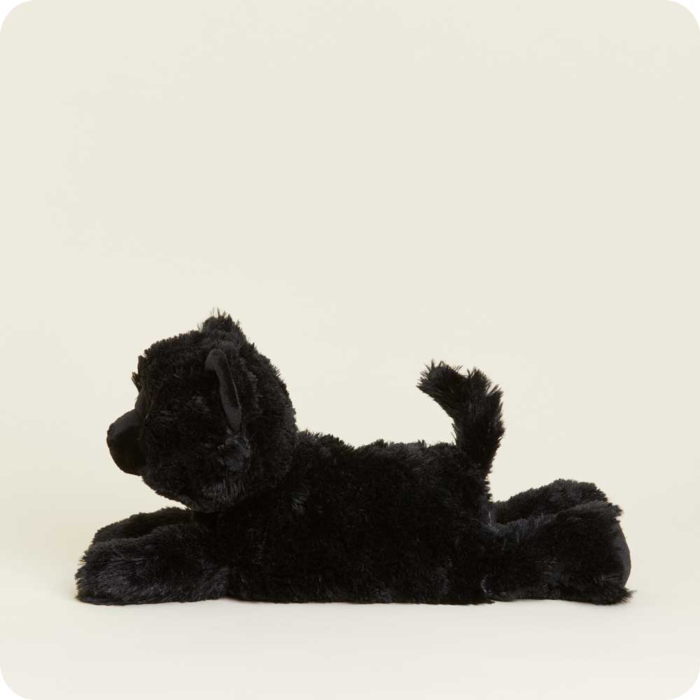 Black Cat Warmies - Soft Glow