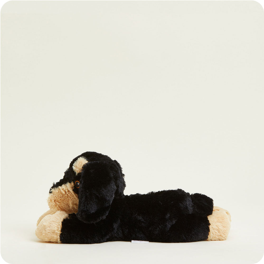 Dachshund Warmies - Soft Glow