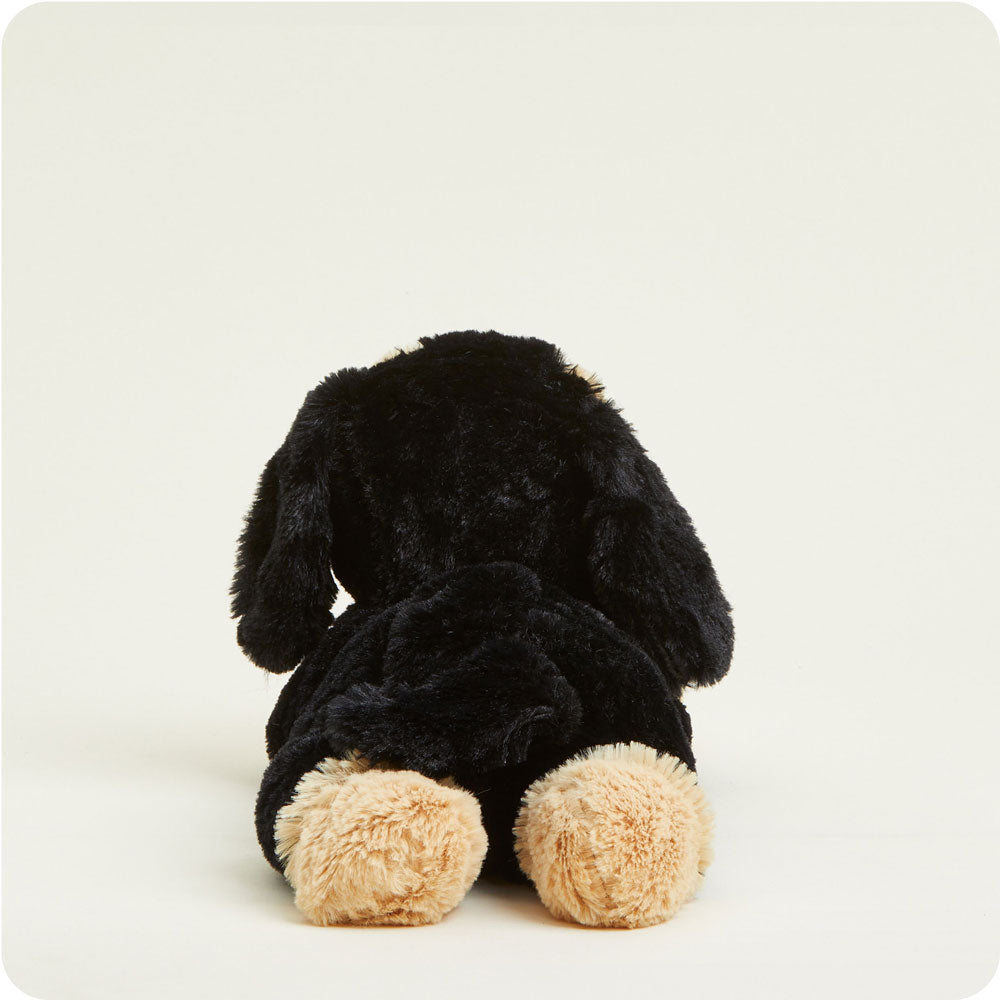 Dachshund Warmies - Soft Glow