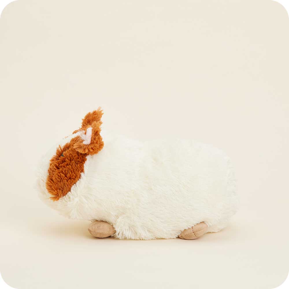 Guinea Pig Warmies - Daily Scent