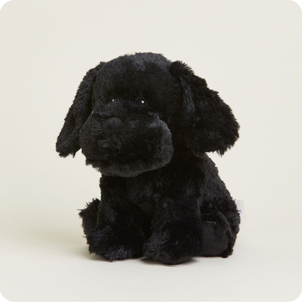Black Labrador Warmies - Easy Spritz