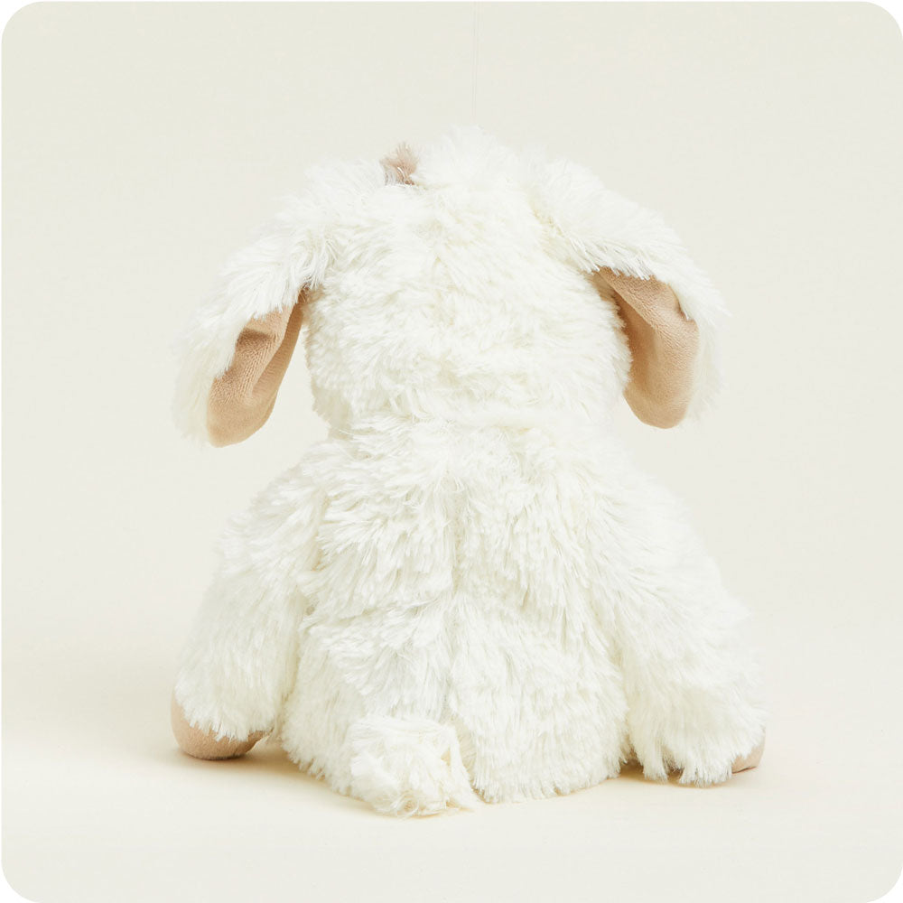 Puppy Warmies - Classic Notes