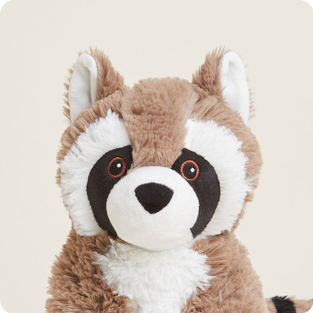 Raccoon Warmies - Classic Notes