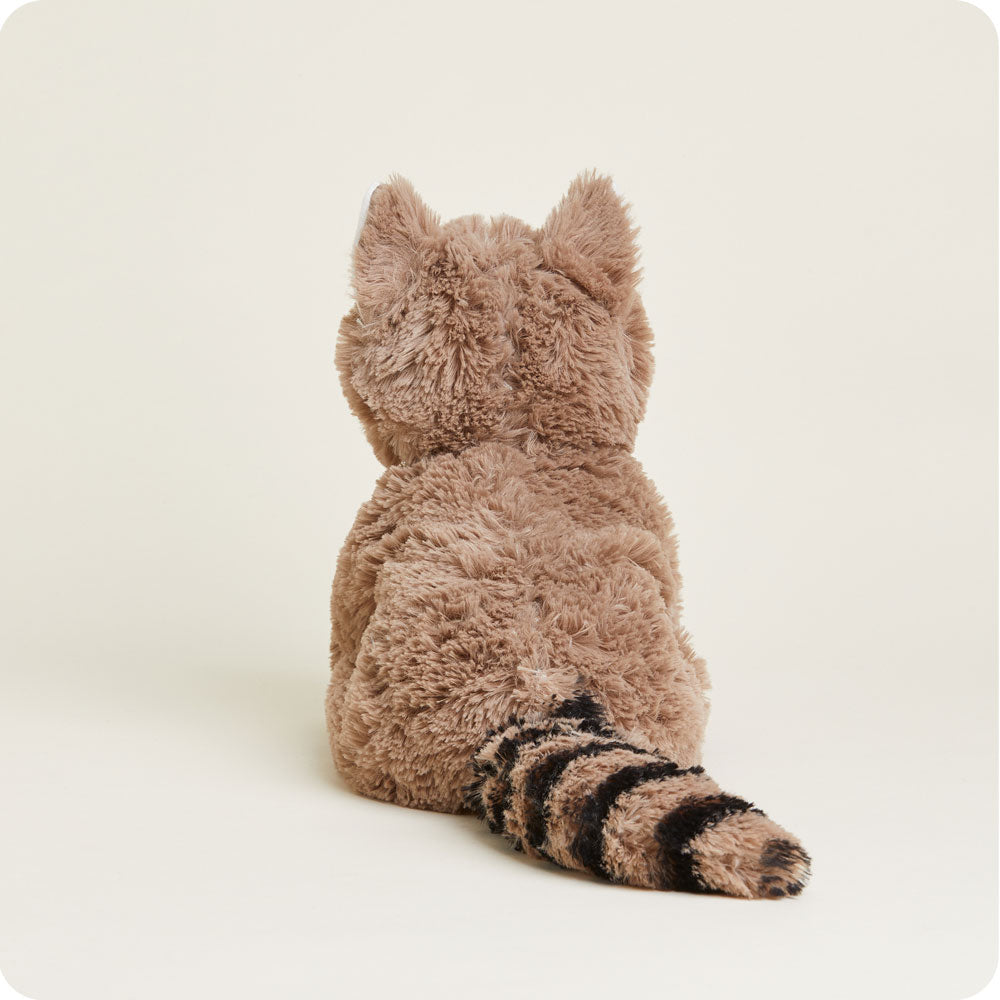 Raccoon Warmies - Classic Notes