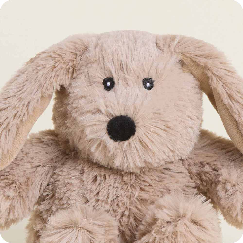 Brown Bunny Warmies Junior - Fresh Notes