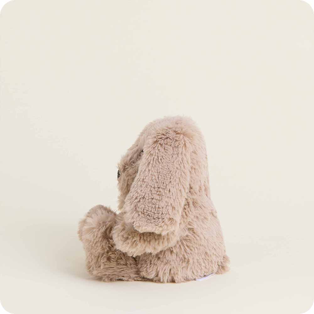 Brown Bunny Warmies Junior - Fresh Notes