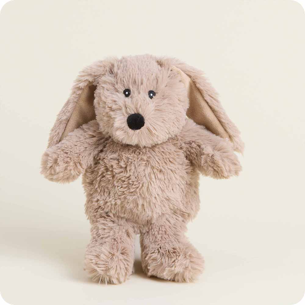 Brown Bunny Warmies Junior - Fresh Notes