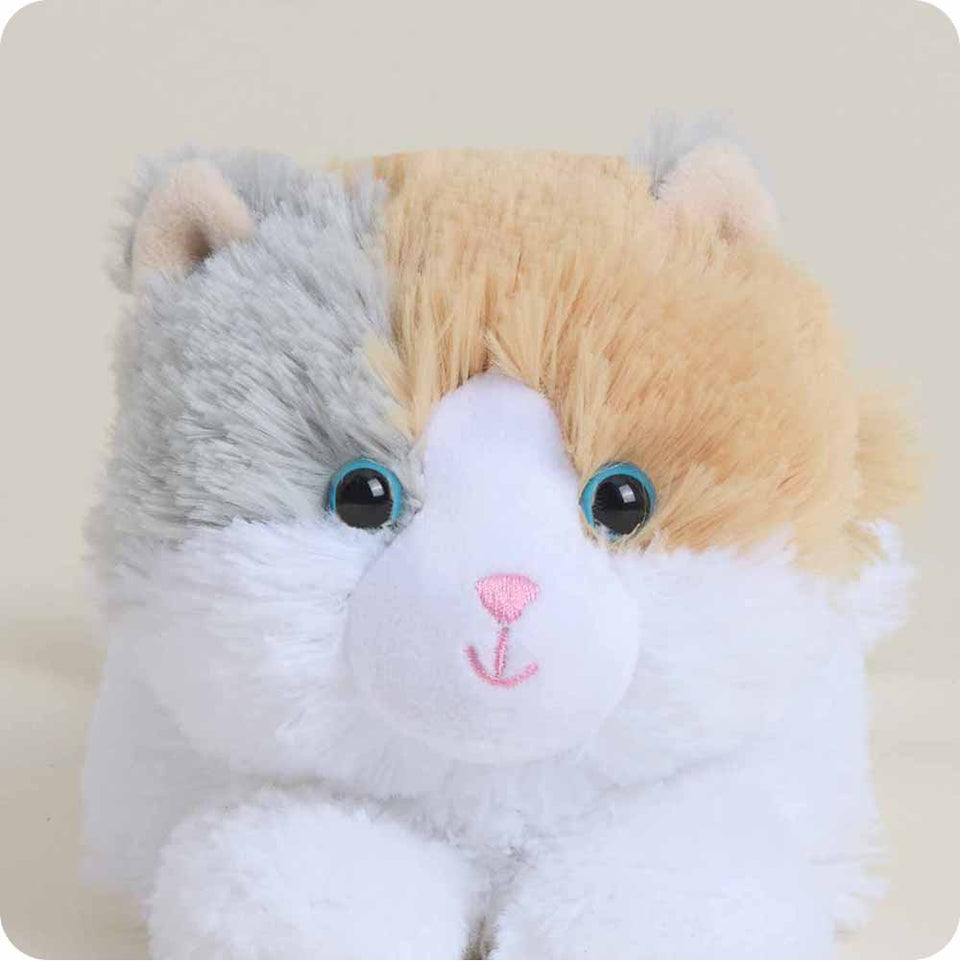 Calico Cat Warmies Junior - Classic Notes