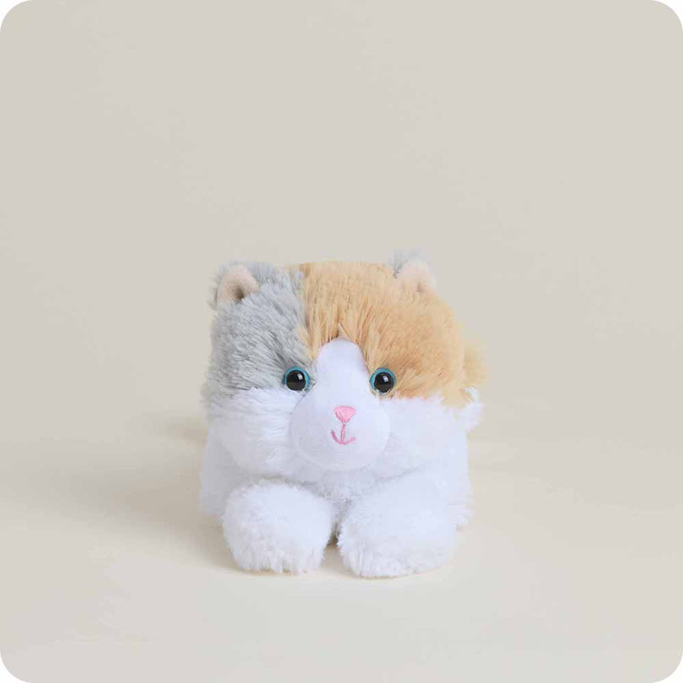 Calico Cat Warmies Junior - Classic Notes