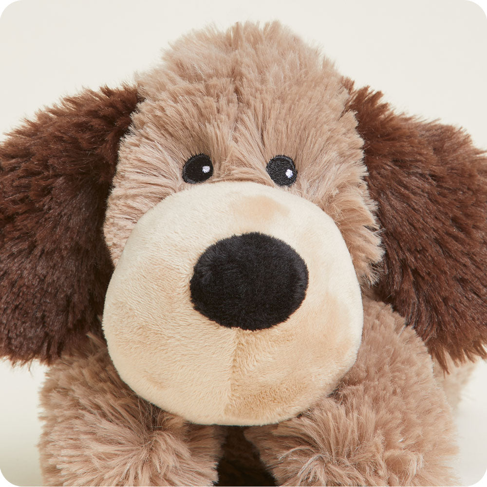 Brown Dog Warmies Junior - Easy Spritz