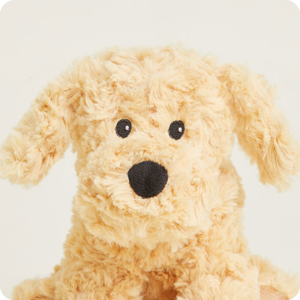 Golden Dog Warmies Junior - Fresh Notes