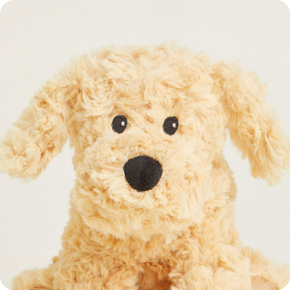 Golden Dog Warmies Junior - Fresh Notes