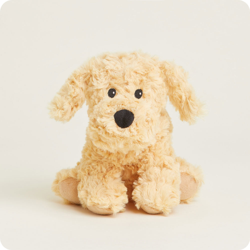 Golden Dog Warmies Junior - Fresh Notes