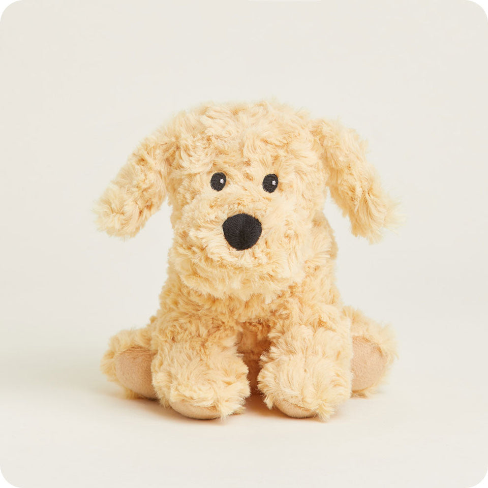Golden Dog Warmies Junior - Fresh Notes
