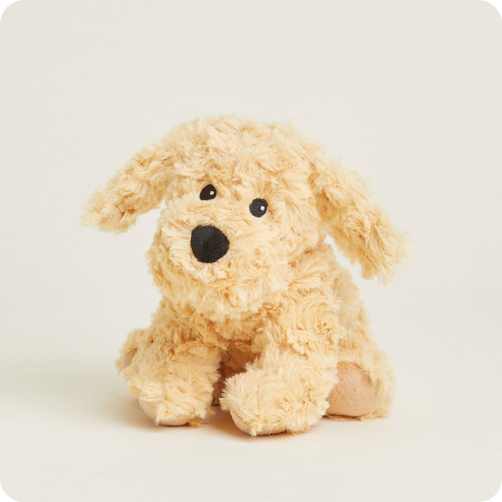 Golden Dog Warmies Junior - Fresh Notes