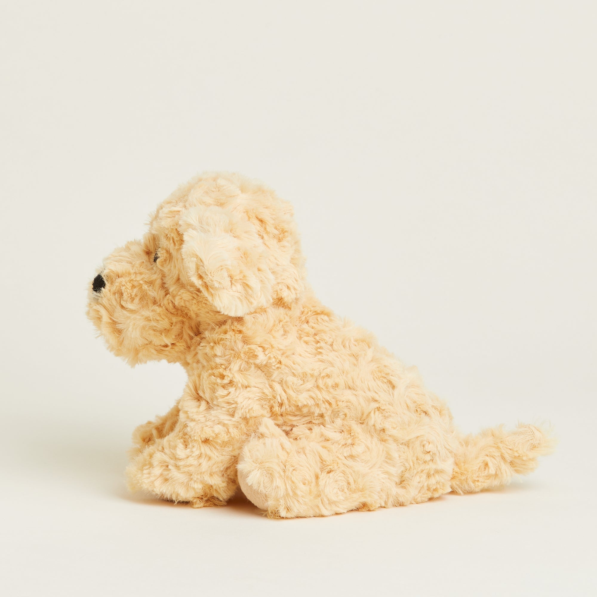 Golden Dog Warmies Junior - Fresh Notes
