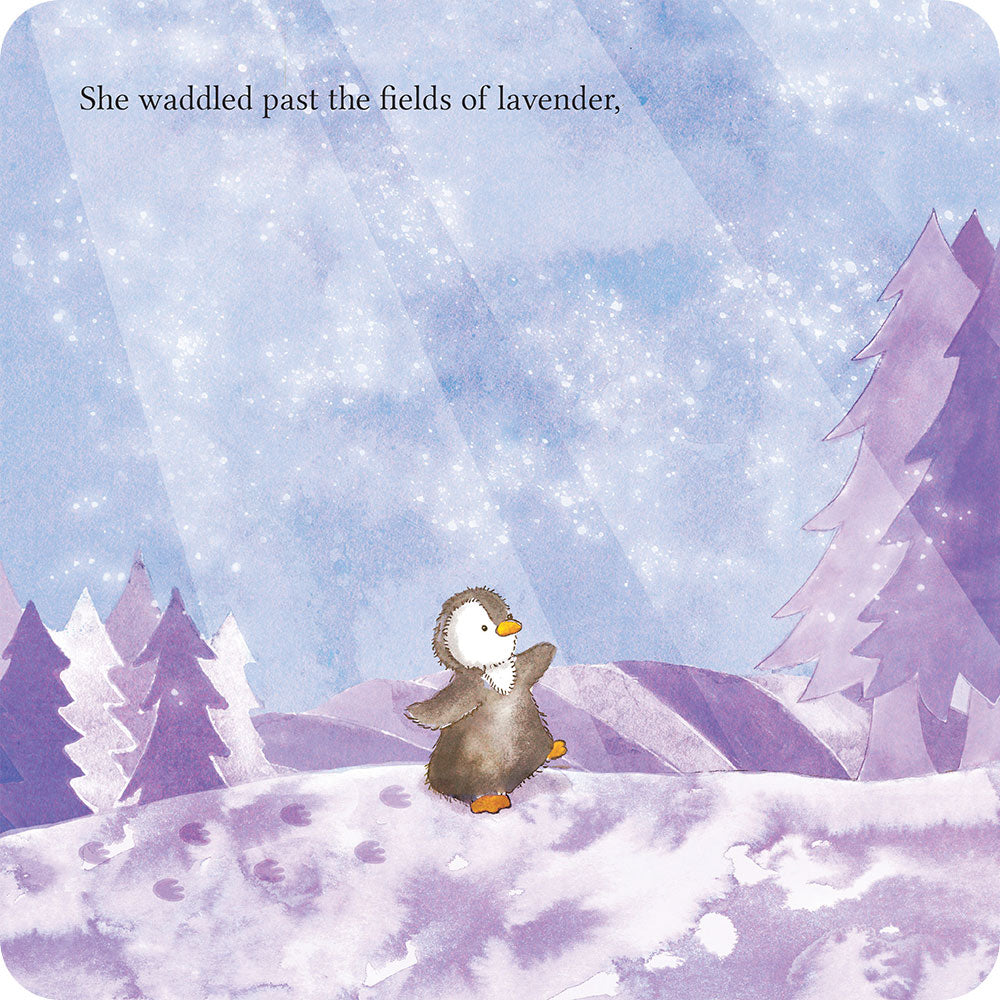Lost in the Woods Board Book - Daily Set