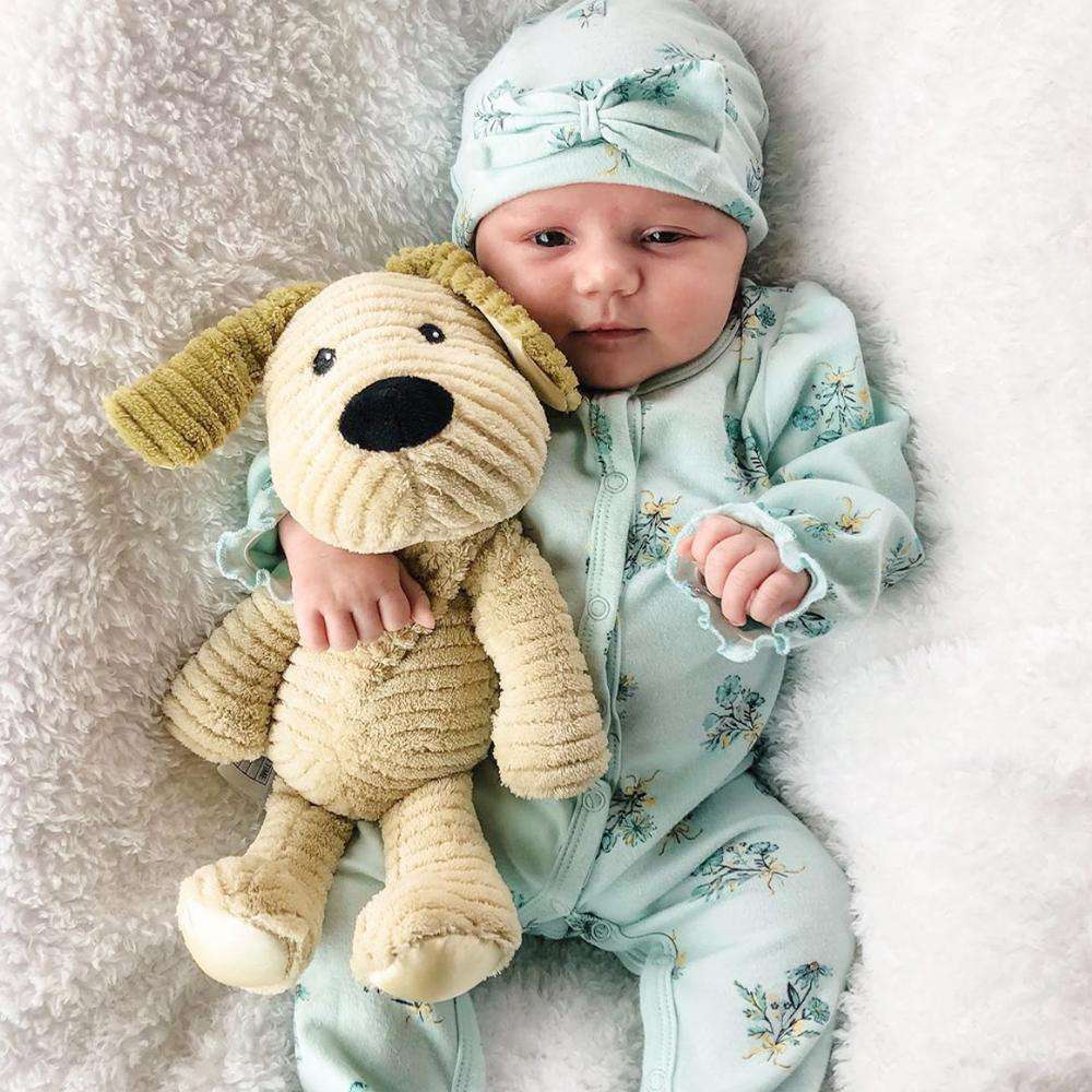 Puppy - My First Warmies - Warm Blend