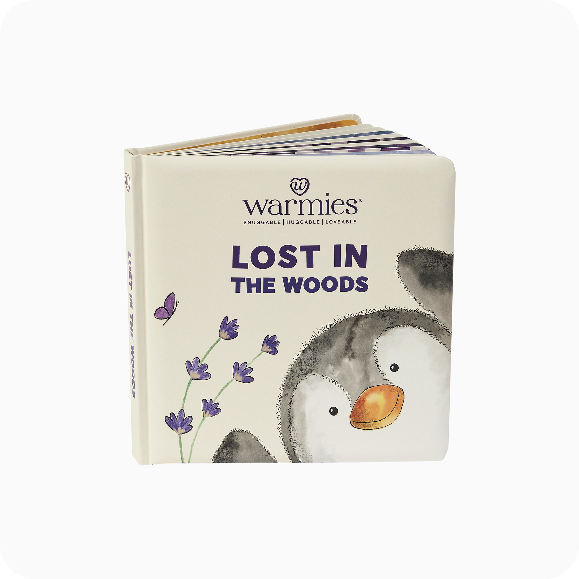Lost in the Woods Board Book - Daily Set