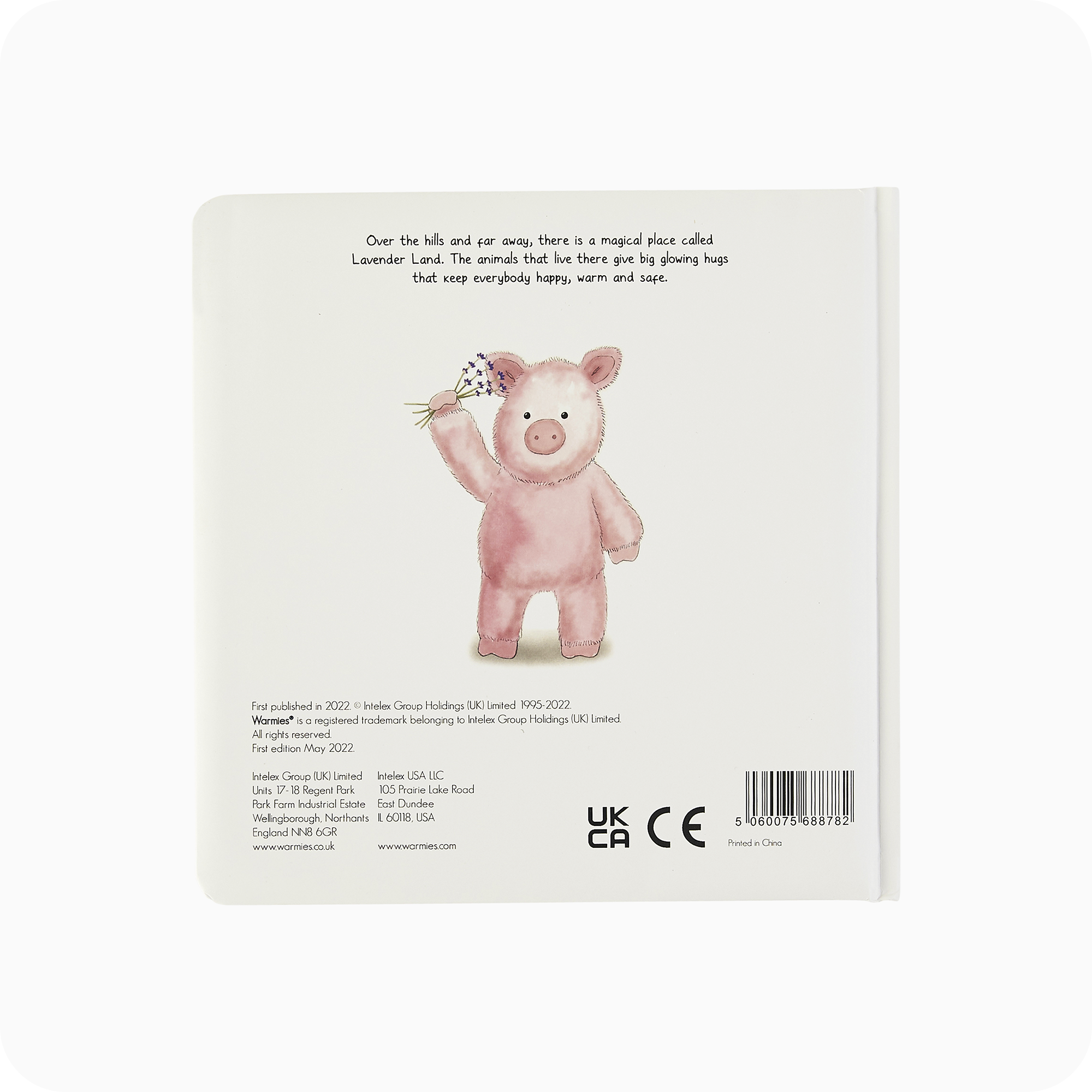 Pigs Can Fly Board Book - Simple Edit