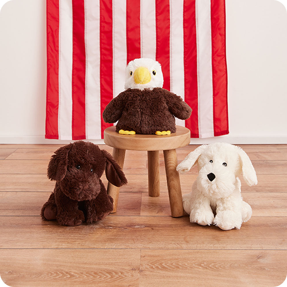 Chocolate Labrador Warmies - Fresh Notes
